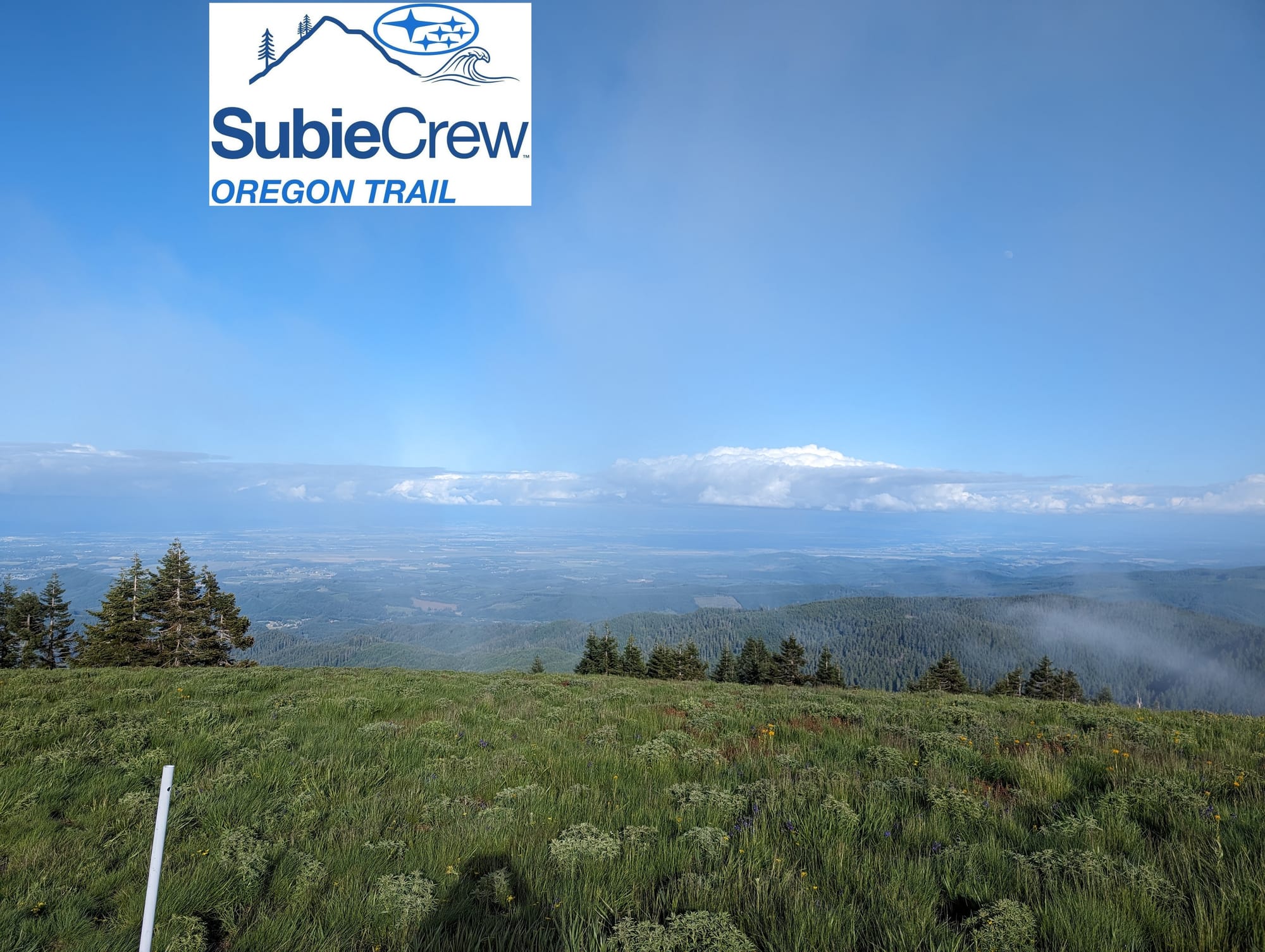 Mary's Peak Hike