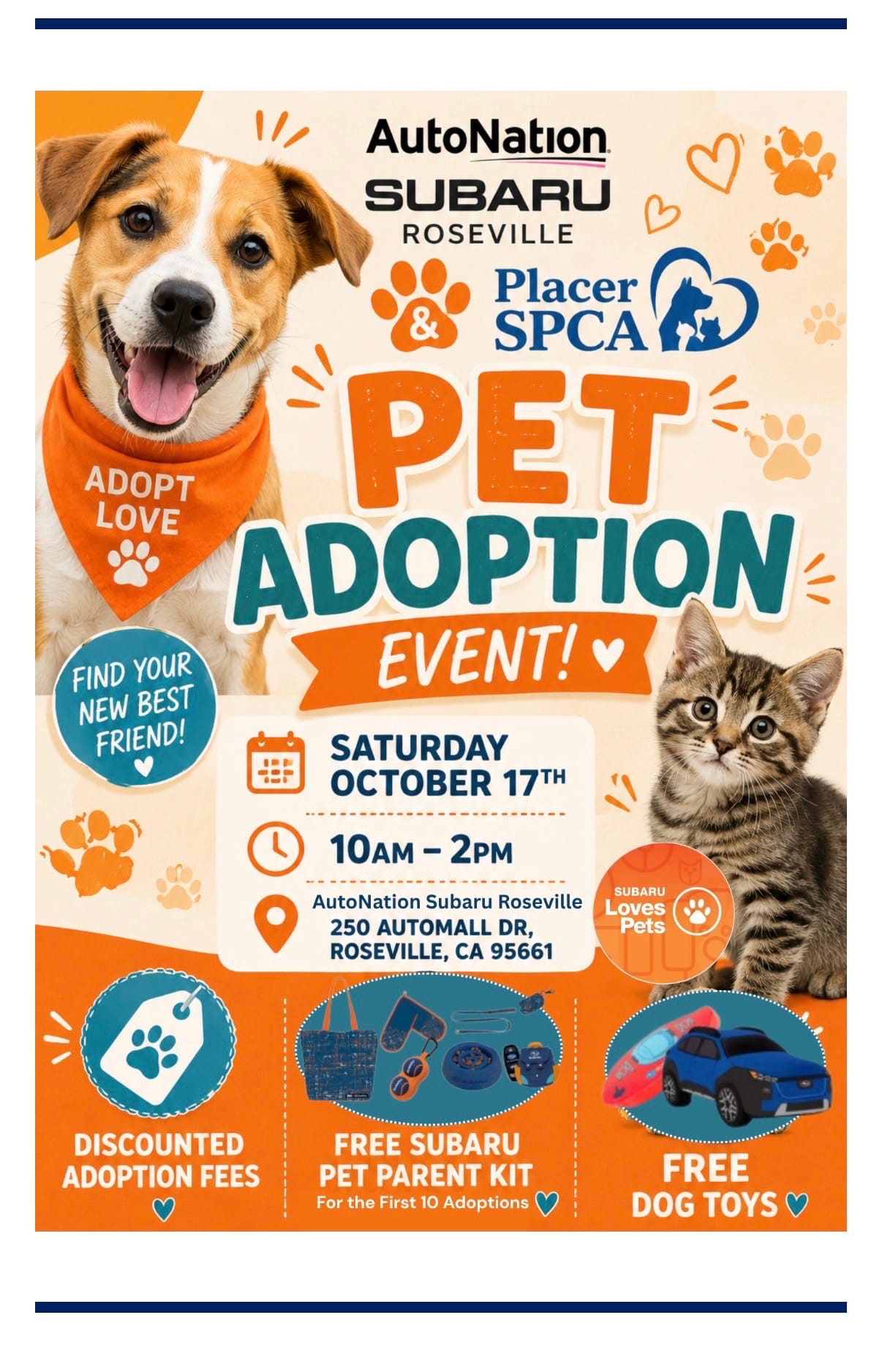 SPCA Pet Adoption 